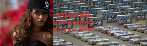 прущие грибы Куйбышев