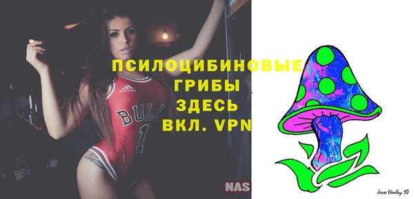 Альфа ПВП Кукмор