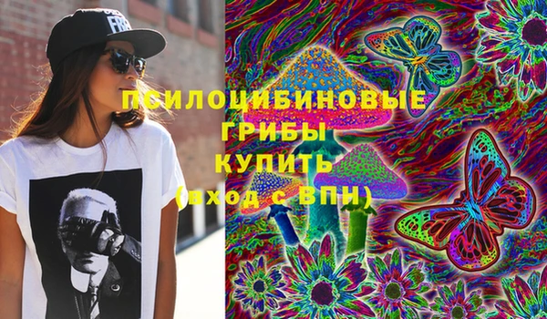 Альфа ПВП Кукмор