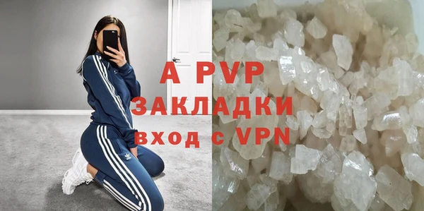 прущие грибы Куйбышев