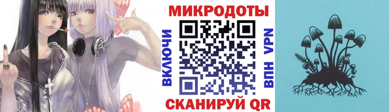 Купить где  Алексеевка  Галлюциногенные грибы Psilocybine cubensis 