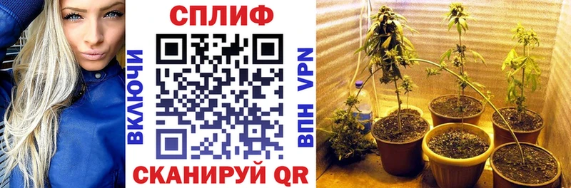 Купить где  Алексеевка  Марихуана AK-47 
